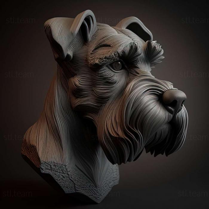 Animals Zwergschnauzer dog